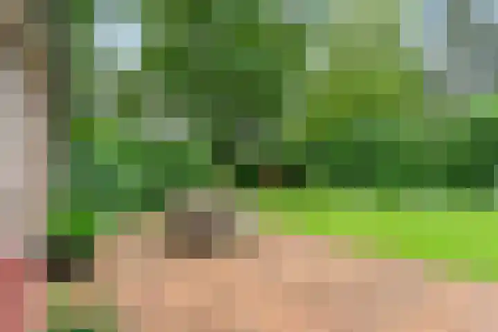 Dalerveensestraat 28 Dalen thumbnail 36
