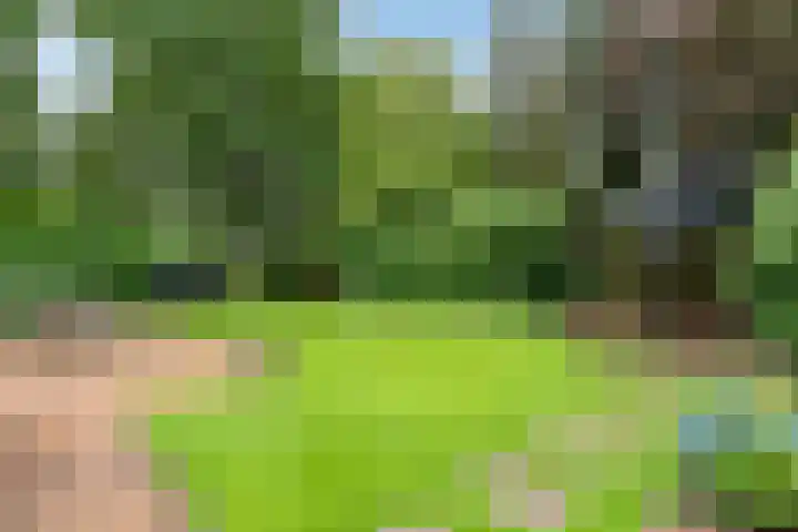 Dalerveensestraat 28 Dalen thumbnail 37