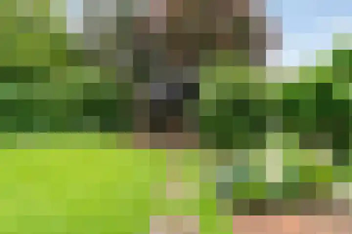 Dalerveensestraat 28 Dalen thumbnail 38