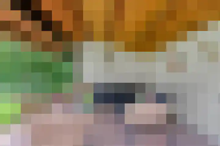 Dalerveensestraat 28 Dalen thumbnail 39