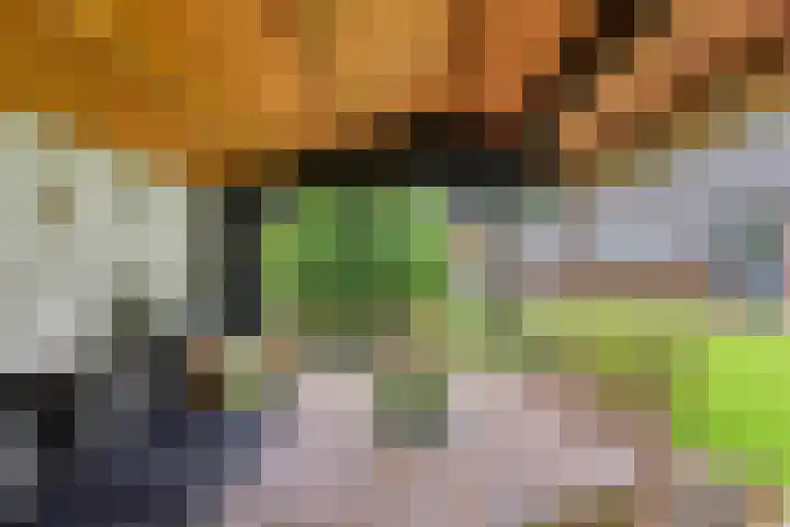 Dalerveensestraat 28 Dalen thumbnail 41