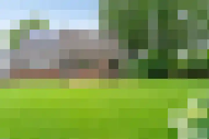 Dalerveensestraat 28 Dalen thumbnail 42