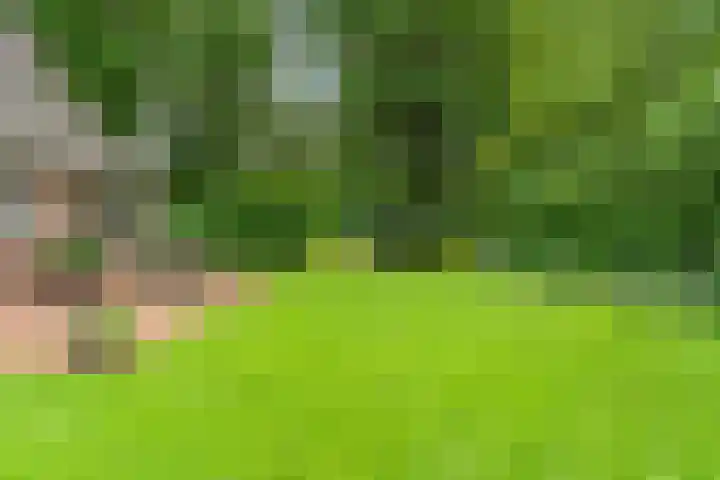 Dalerveensestraat 28 Dalen thumbnail 43