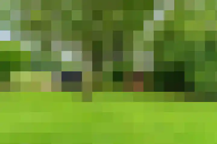 Dalerveensestraat 28 Dalen thumbnail 44