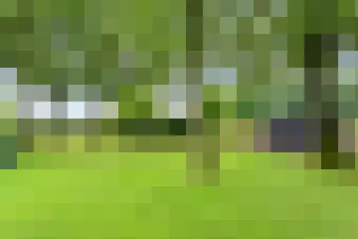 Dalerveensestraat 28 Dalen thumbnail 45