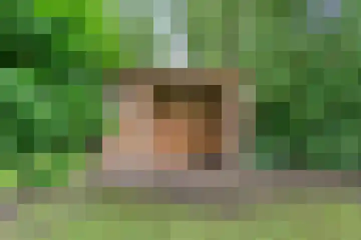 Dalerveensestraat 28 Dalen thumbnail 46