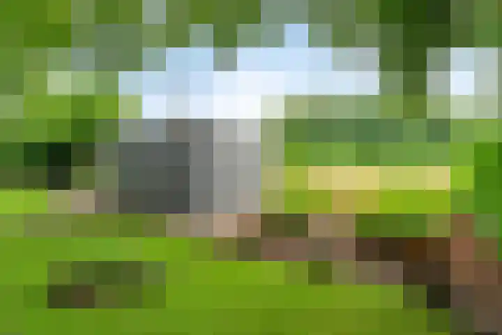 Dalerveensestraat 28 Dalen thumbnail 48