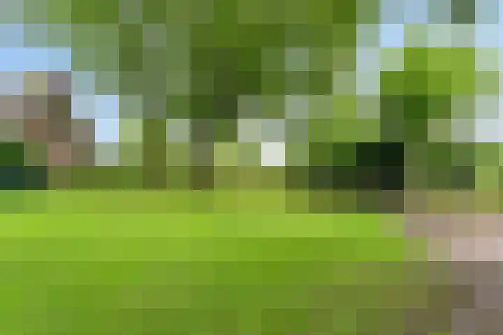 Dalerveensestraat 28 Dalen thumbnail 49