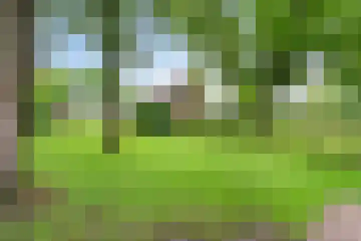 Dalerveensestraat 28 Dalen thumbnail 50