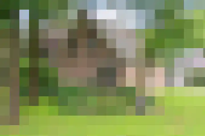 Dalerveensestraat 28 Dalen thumbnail 52