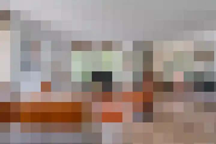 Dalerveensestraat 28 Dalen thumbnail 8