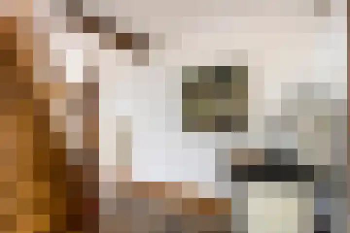 Dalestraat 20 Banholt thumbnail 18