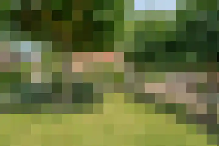 Dalestraat 20 Banholt thumbnail 32