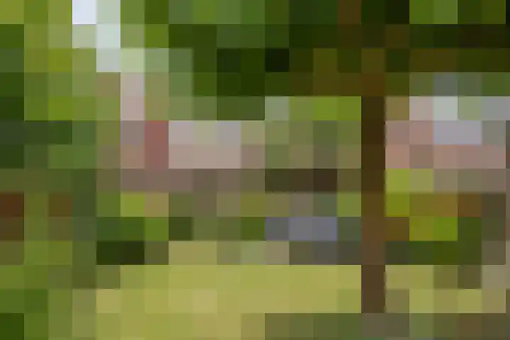 Dalestraat 20 Banholt thumbnail 33