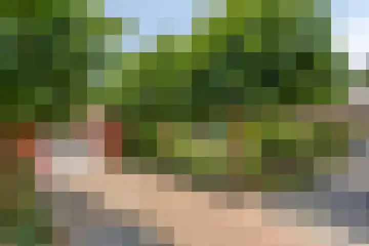 Dalestraat 20 Banholt thumbnail 6