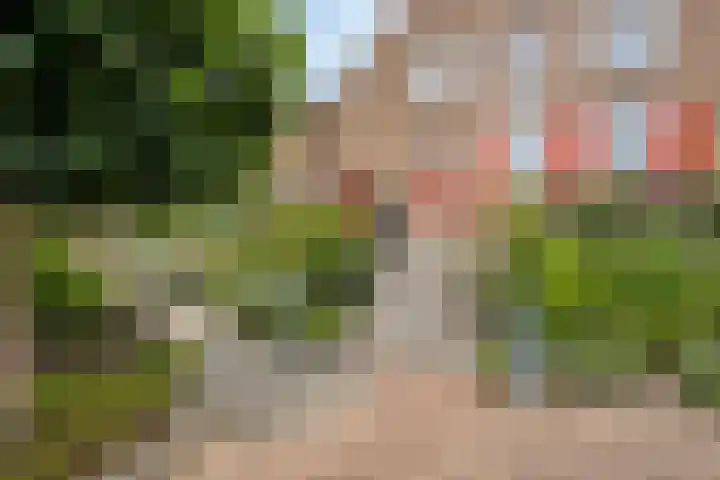Dalestraat 20 Banholt thumbnail 7