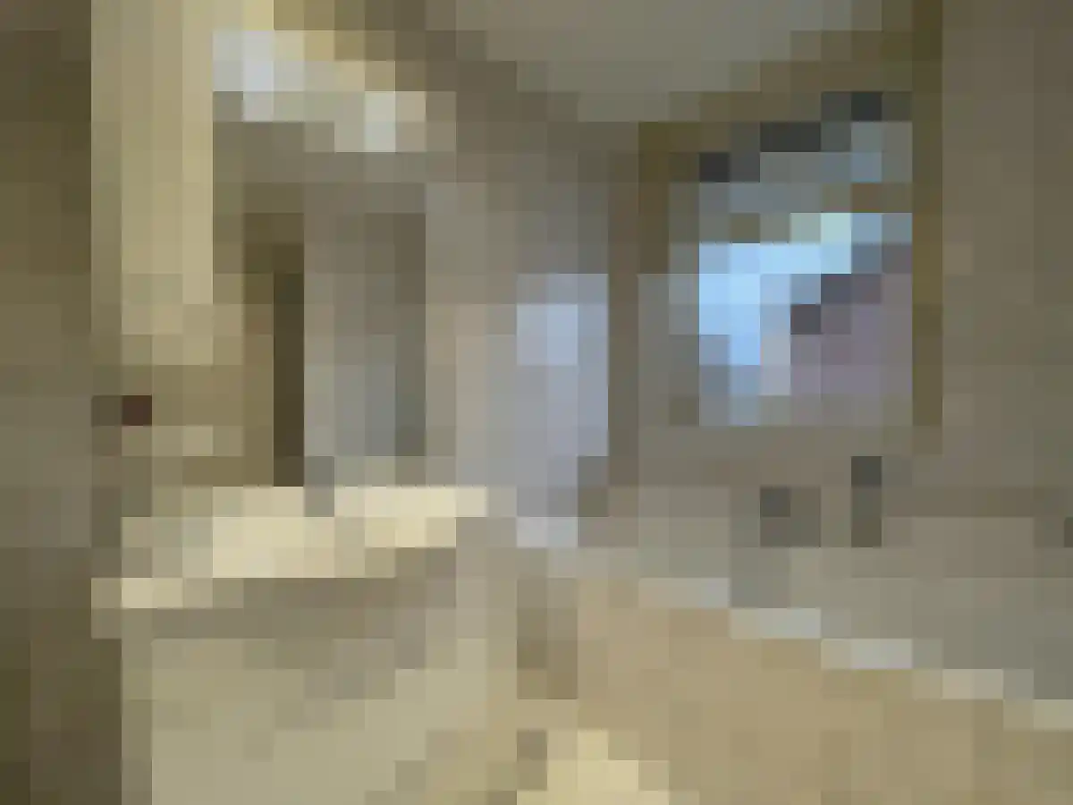 Dalestraat 21 Banholt thumbnail 4