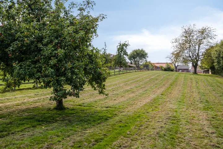 Dalestraat 40 Banholt thumbnail 43