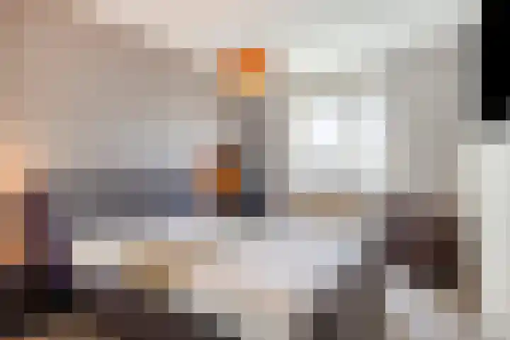Dalfsenlaan 27 Tilburg thumbnail 19