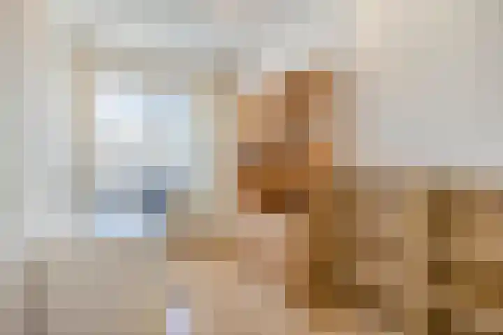 Dalfsenlaan 27 Tilburg thumbnail 22