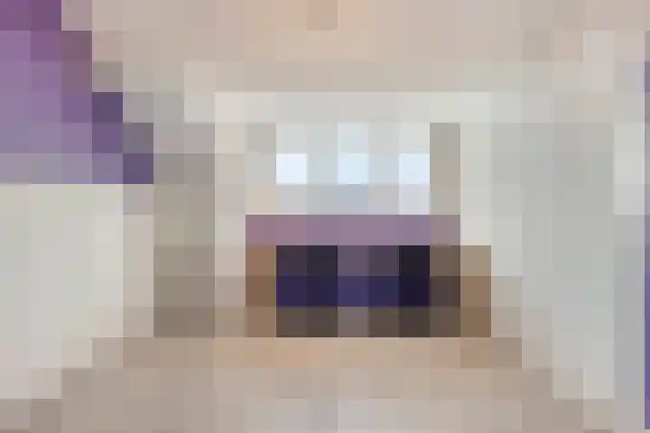 Dalfsenlaan 27 Tilburg thumbnail 29