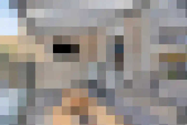 Dalfsenlaan 27 Tilburg thumbnail 31