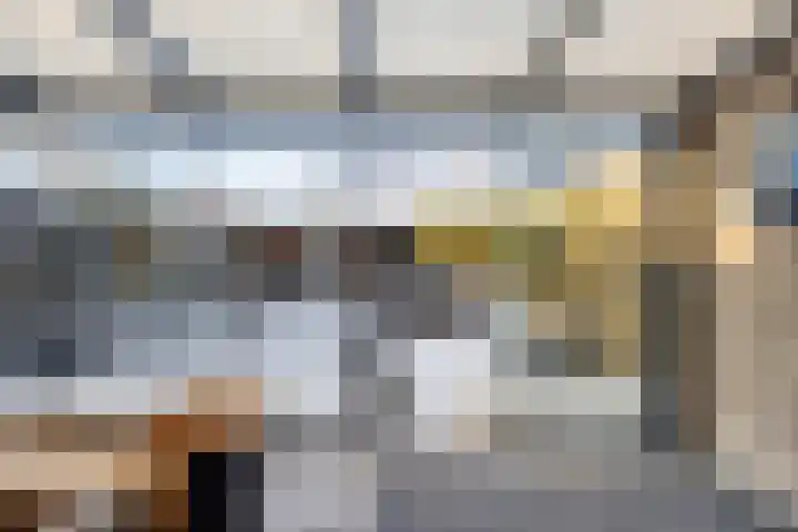 Dalfsenlaan 27 Tilburg thumbnail 32