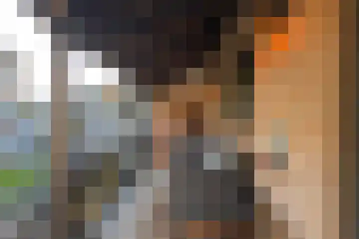 Dalfsenlaan 27 Tilburg thumbnail 38