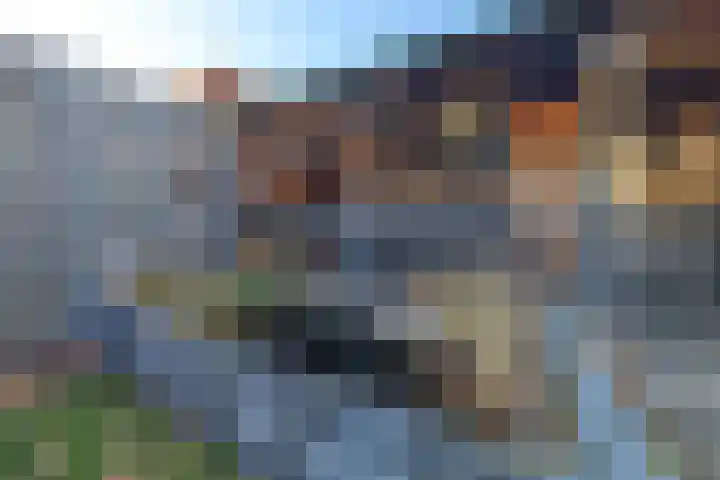 Dalfsenlaan 27 Tilburg thumbnail 41