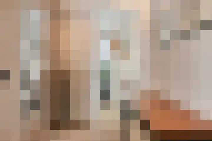 Dalfsenlaan 27 Tilburg thumbnail 6