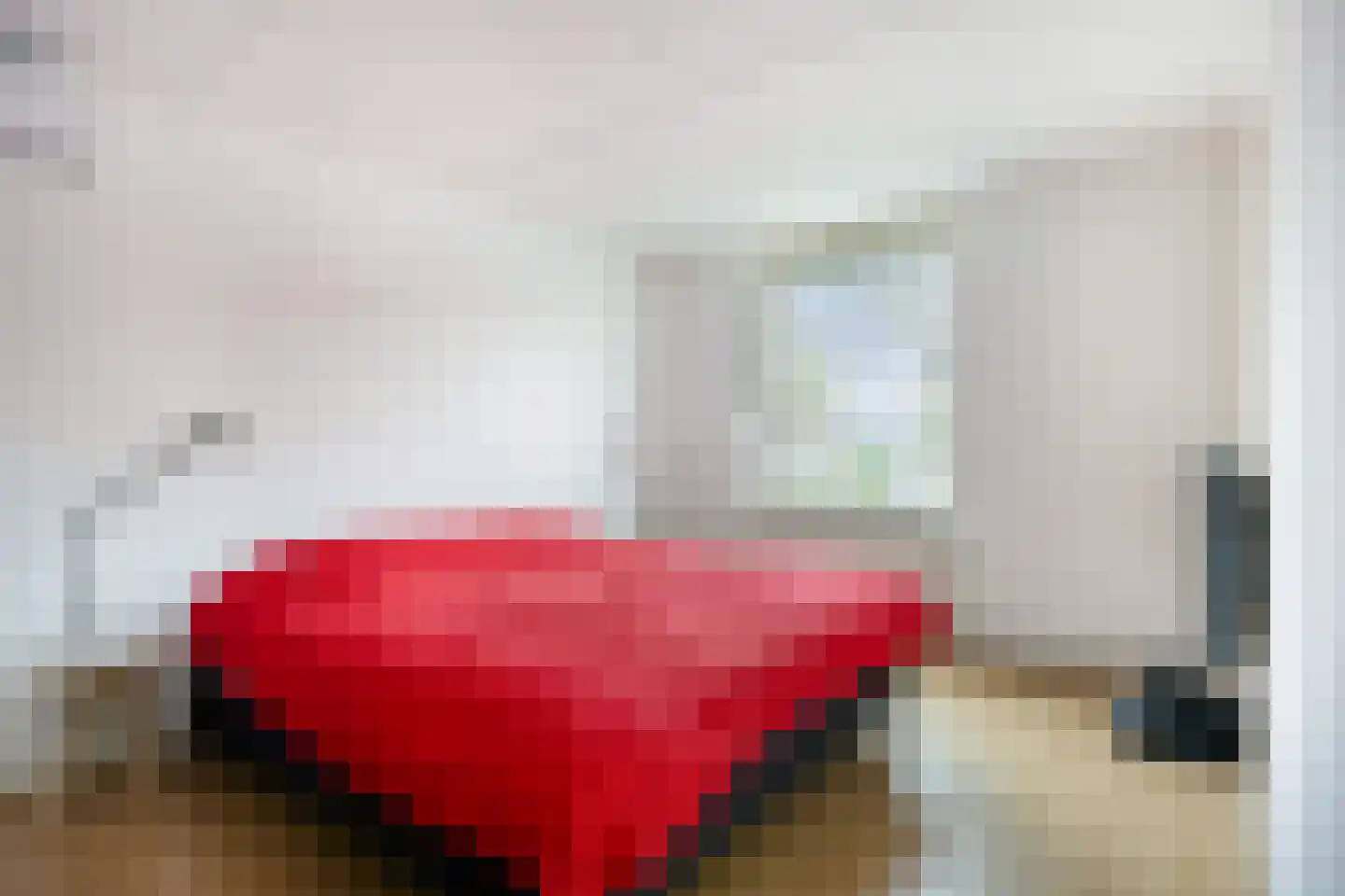 Dalfsenlaan 50 Tilburg thumbnail 29