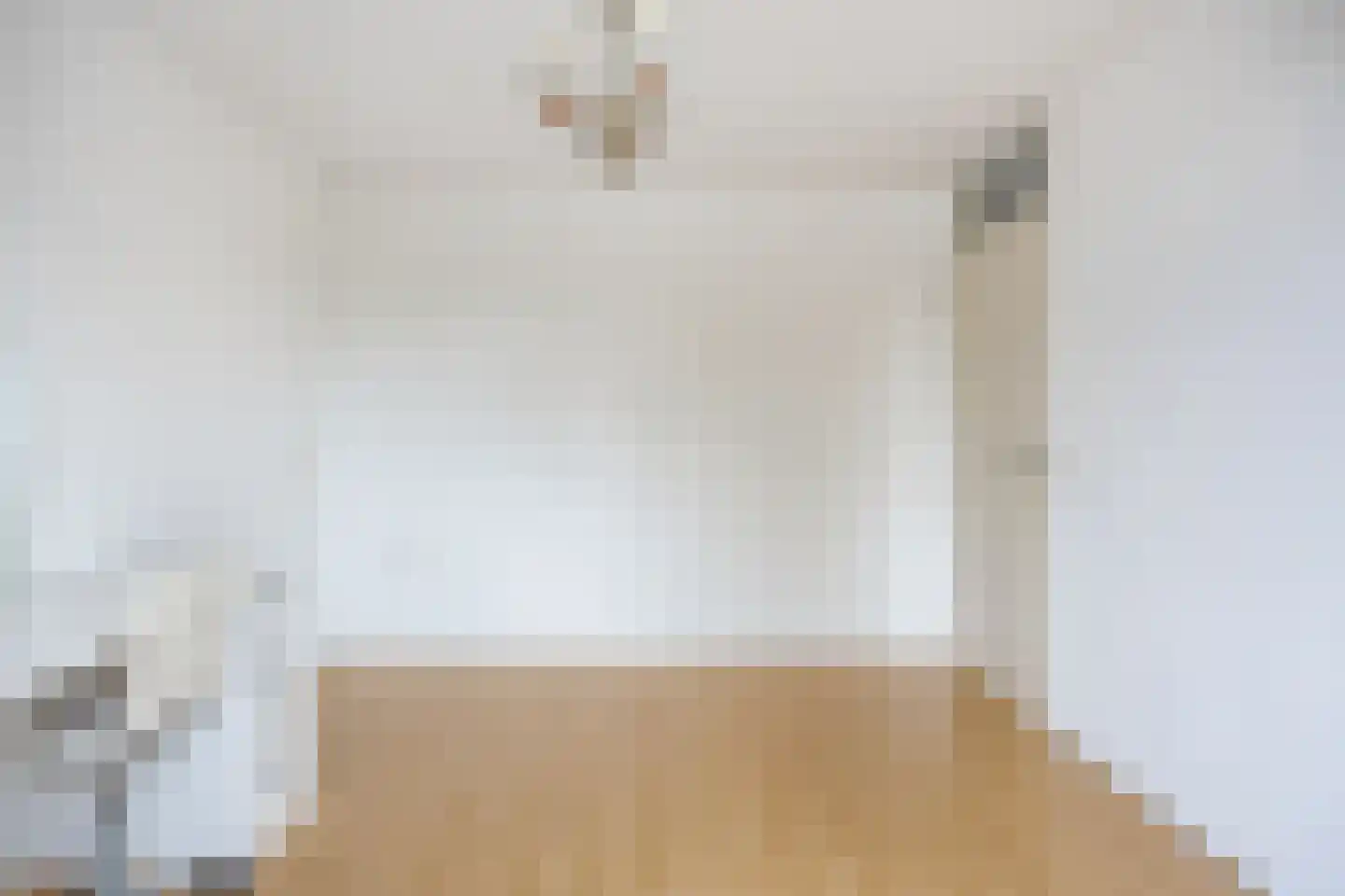 Dalfsenlaan 50 Tilburg thumbnail 34