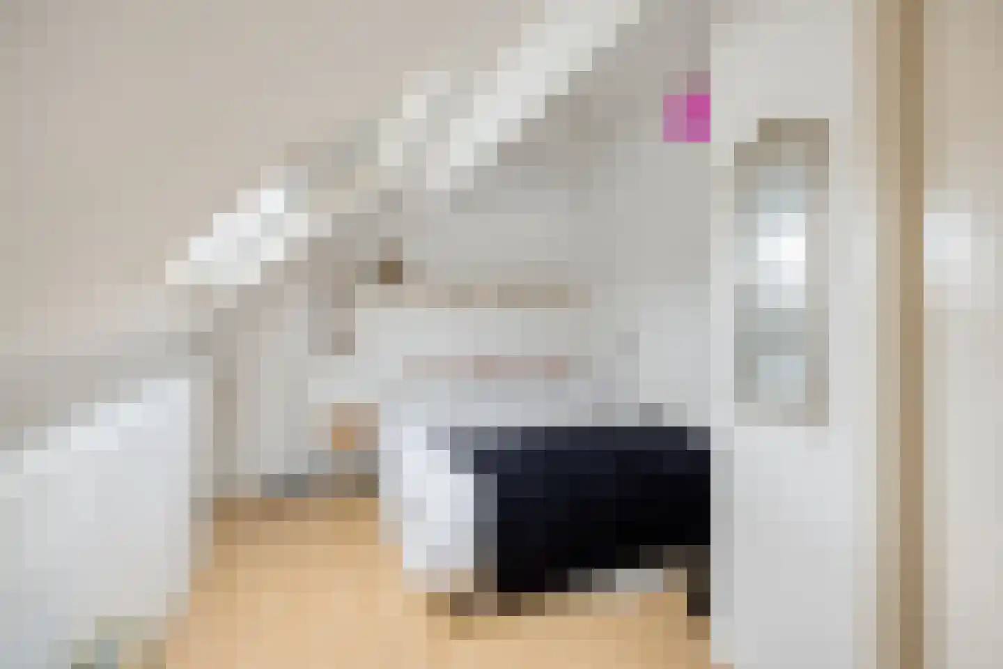 Dalfsenlaan 50 Tilburg thumbnail 37