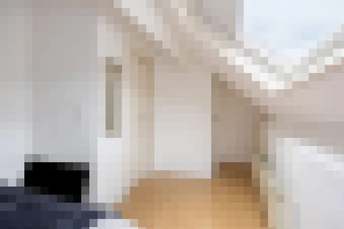 Dalfsenlaan 50 Tilburg thumbnail 38