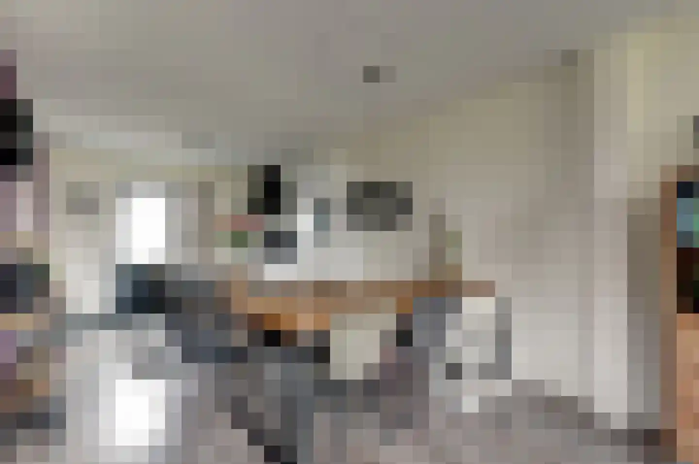 Dalgrond 2 Surhuisterveen thumbnail 13