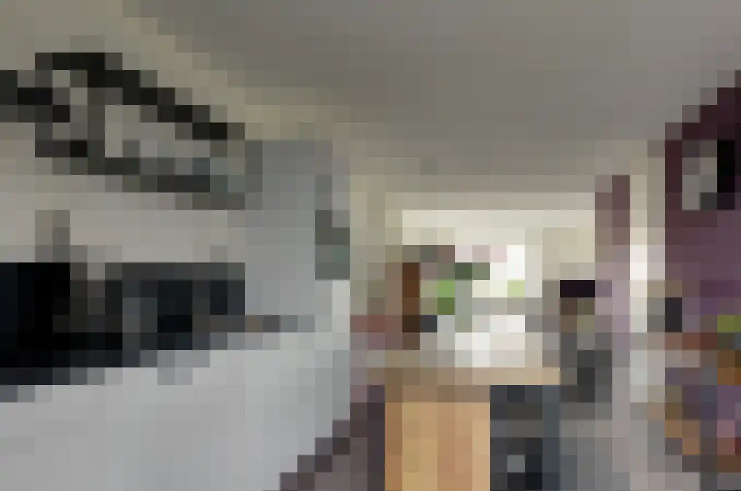 Dalgrond 2 Surhuisterveen thumbnail 17