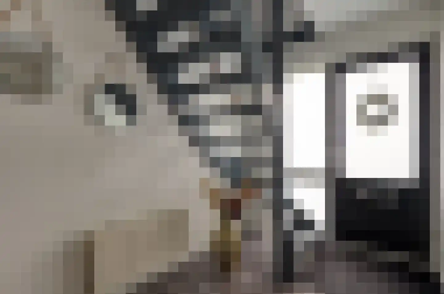 Dalgrond 2 Surhuisterveen thumbnail 20