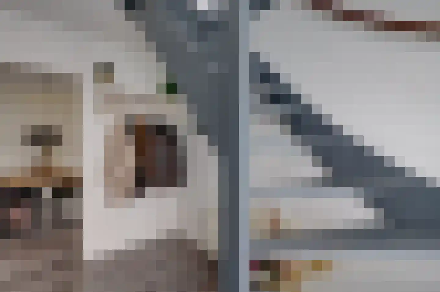 Dalgrond 2 Surhuisterveen thumbnail 22
