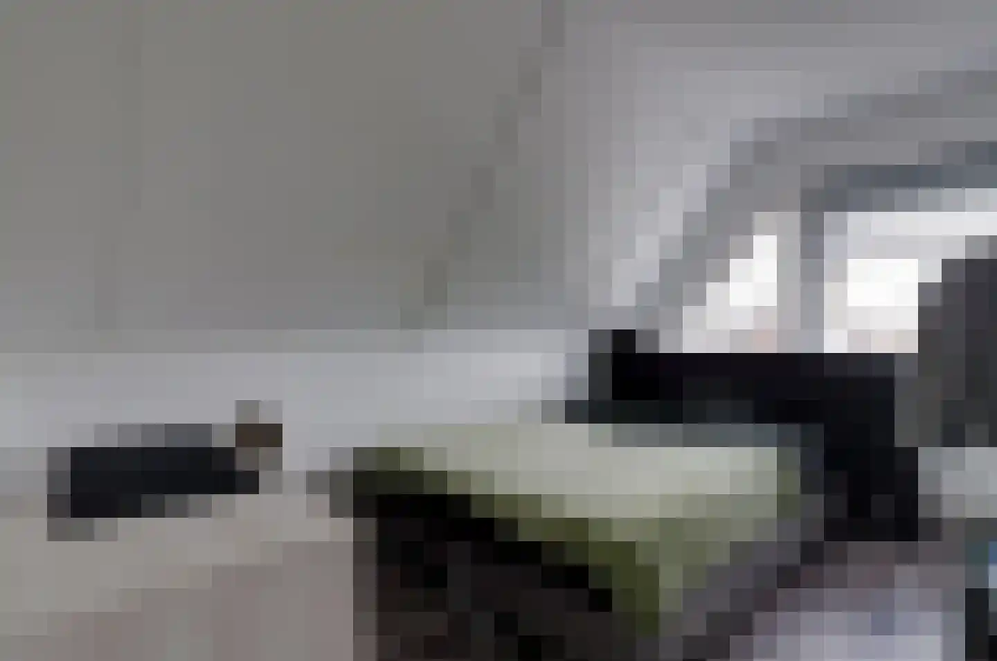 Dalgrond 2 Surhuisterveen thumbnail 27