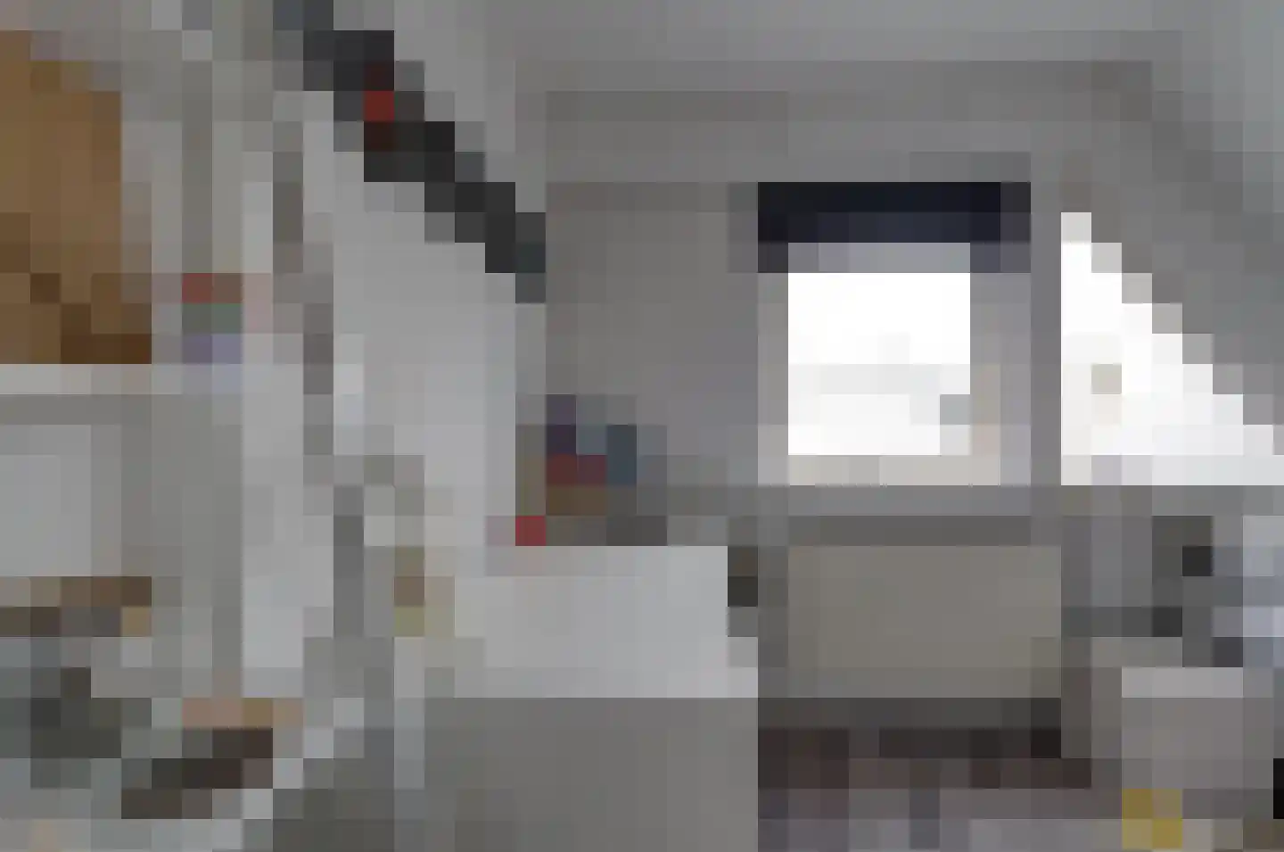 Dalgrond 2 Surhuisterveen thumbnail 29