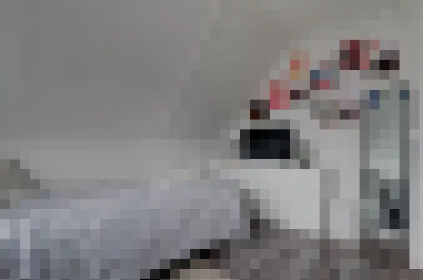 Dalgrond 2 Surhuisterveen thumbnail 31