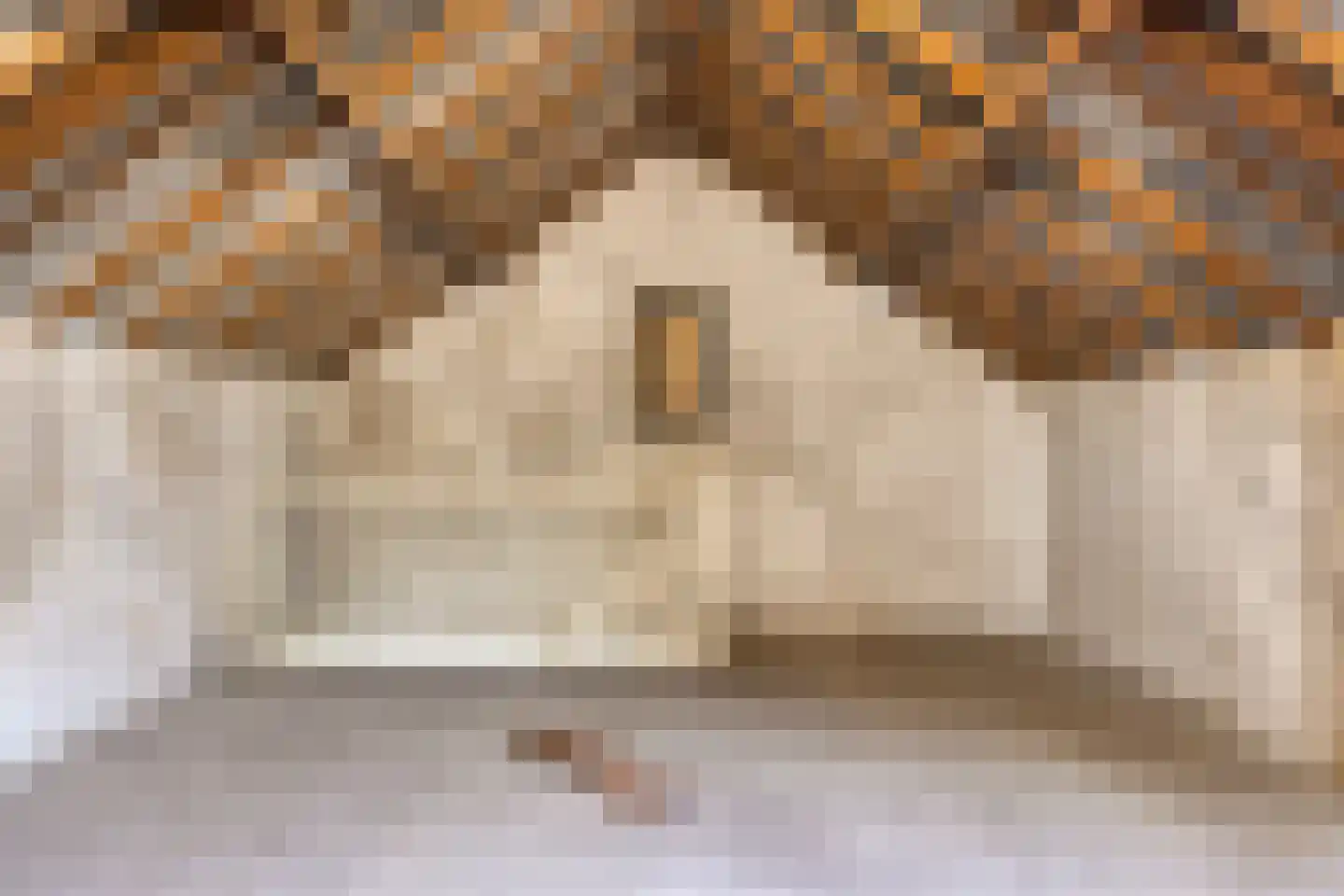 Daliastraat 2 A Schijndel thumbnail 26