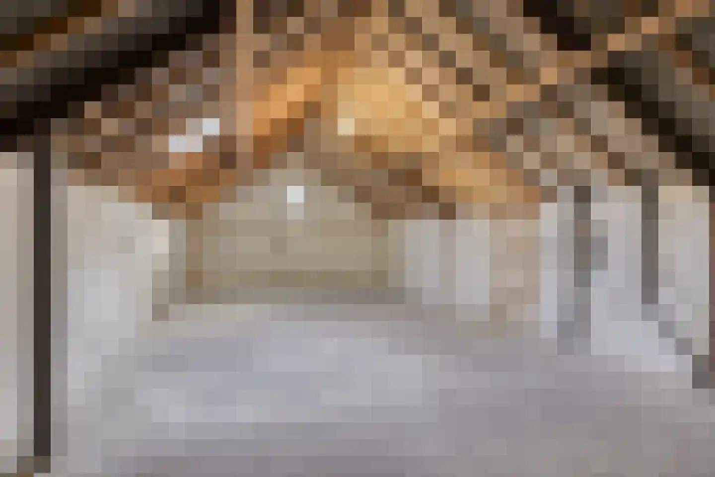 Daliastraat 2 A Schijndel thumbnail 27