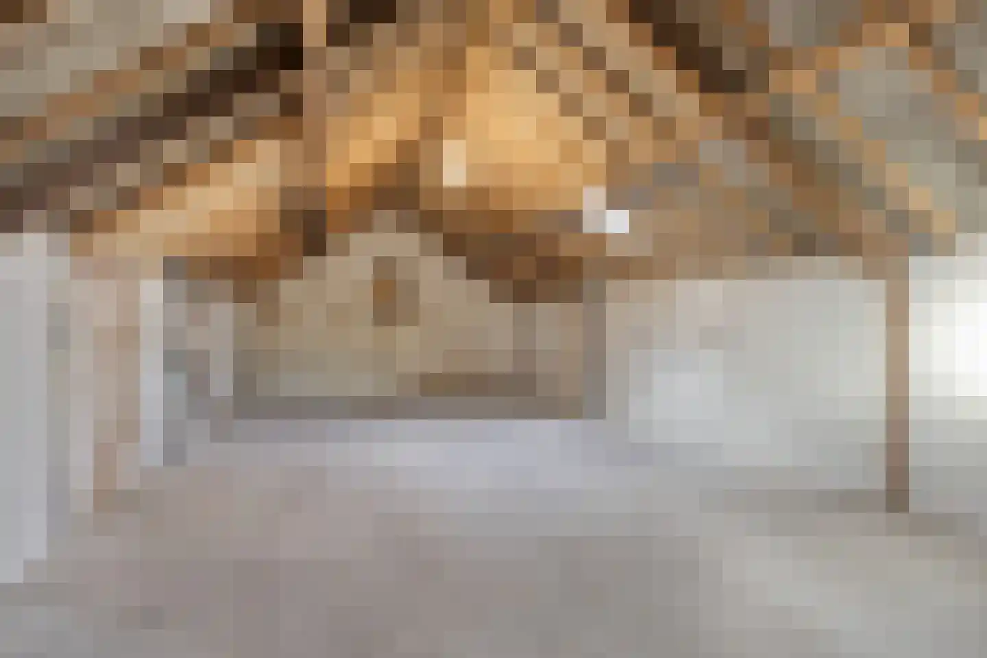 Daliastraat 2 A Schijndel thumbnail 28