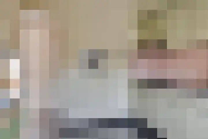 Daliastraat 40 Asten thumbnail 11