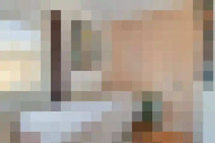 Daliastraat 40 Asten thumbnail 20