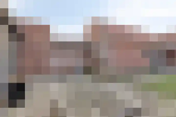 Daliastraat 40 Asten thumbnail 25