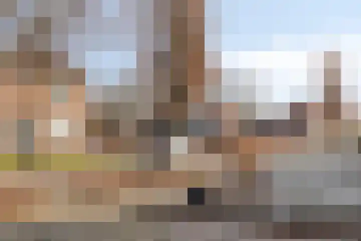 Daliastraat 40 Asten thumbnail 31