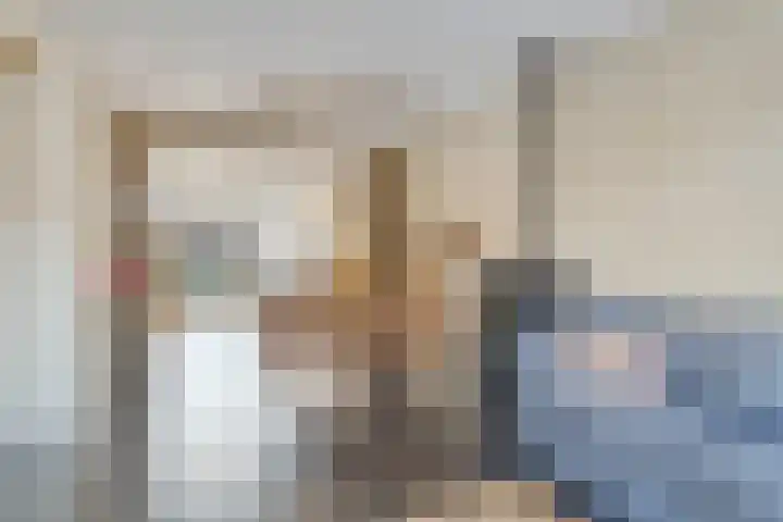 Daliastraat 40 Asten thumbnail 4