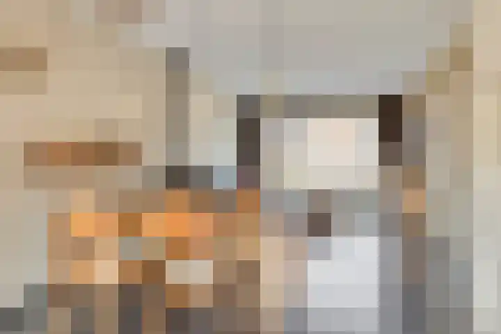 Daliastraat 40 Asten thumbnail 7